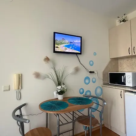 Private In Prestige Daire Sveti Vlas